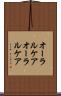オーラルケア Scroll