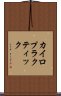 カイロプラクティック Scroll