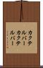 カクテルバー Scroll