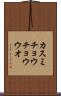 カスミチョウチョウウオ Scroll