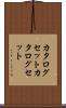カタログセット Scroll