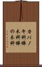 カバノキ科 Scroll