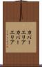 カバーエリア Scroll