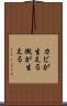 カビが生える Scroll
