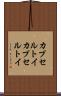 カプセルトイ Scroll