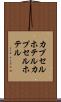カプセルホテル Scroll