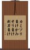 カミソリ負け Scroll
