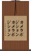 カメラポジション Scroll