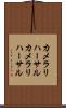 カメラリハーサル Scroll