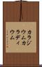 カラジウム Scroll