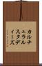 カルチュラルスタディーズ Scroll