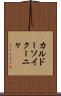 カルドーソイクーニャ Scroll