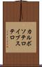 カルボソテロイブステロ Scroll