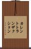 カレントトランザクション Scroll