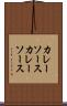 カレーソース Scroll