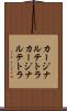 カージナルテトラ Scroll