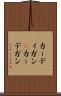カーディガン(P) Scroll