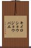 キイロショウジョウバエ Scroll