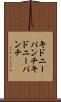 キドニーパンチ Scroll