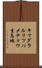キマダラルリツバメチョウ生息地 Scroll
