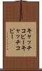 キャッチコピー Scroll
