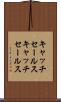 キャッチセールス Scroll