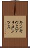 キンキウスアリメンツス Scroll
