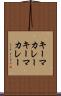 キーマカレー Scroll