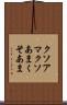 クソアマ Scroll