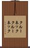 クルーネック Scroll