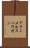 グリンメルスハウゼン Scroll