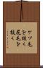 ケツ毛を抜く Scroll