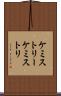 ケミストリー Scroll