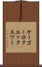 ケーゴーロクエックスツー Scroll
