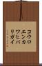 コウロエンカワヒバリガイ Scroll