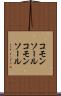 コモンソール Scroll