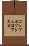 コレツカソシュコフスカ Scroll