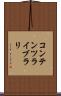 コンテンツ・ライブラリ Scroll