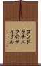 コンドラチエフのサイクル Scroll
