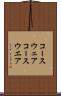 コースウェア Scroll