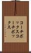 コーチボックス Scroll