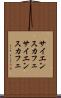 サイエンスカフェ Scroll