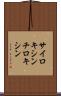 サイロキシン Scroll