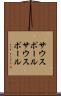 サウスポール Scroll