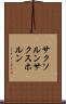サクソルン Scroll