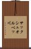 サックシュオルベッ川 Scroll
