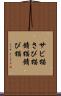サビ猫 Scroll