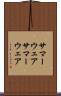 サマーウェア Scroll