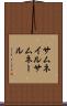 サムネイル Scroll
