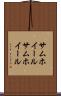 サムホイール Scroll